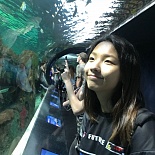 Торонто 2018 (Ripley's Aquarium)