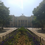 City Hall, или Администрация деревни